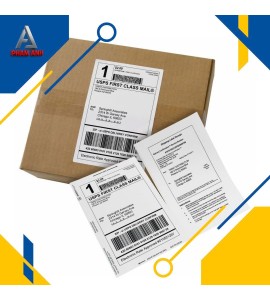 Decal giấy dán thùng carton